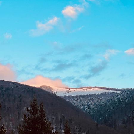 The Nest Apartment Sinaia Exterior foto