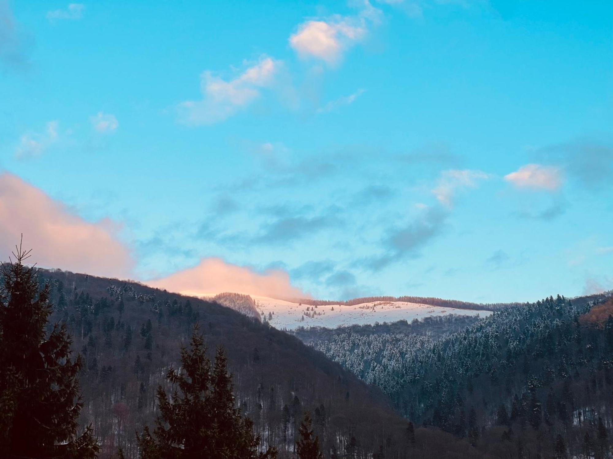 The Nest Apartment Sinaia Exterior foto